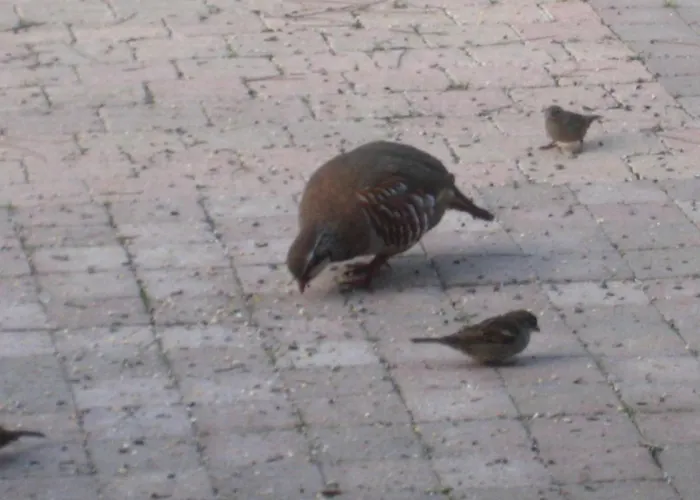 Bed and breakfast Les Pierres Blanches